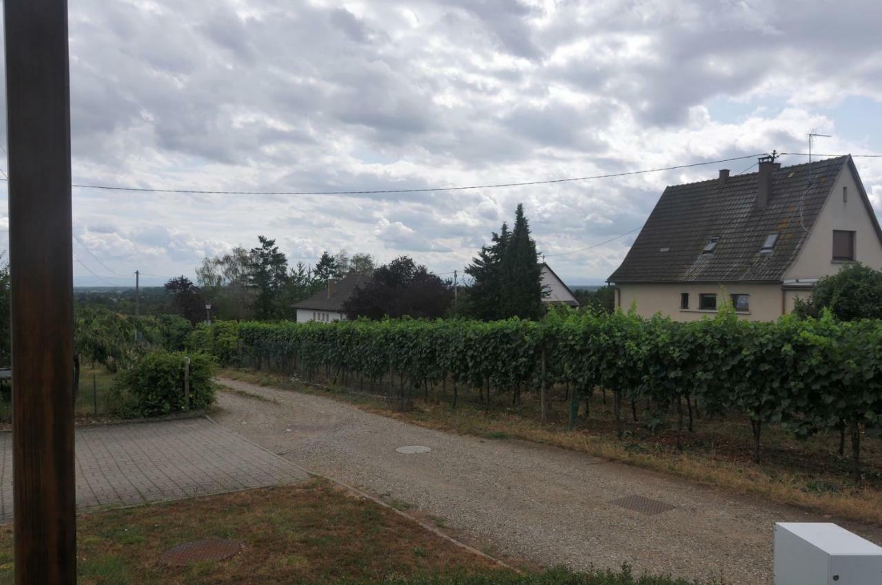 Les Cerisiers Villa Bernardswiller Luaran gambar